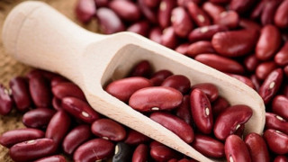SECTOR PROFILE OF KIDNEY BEANS