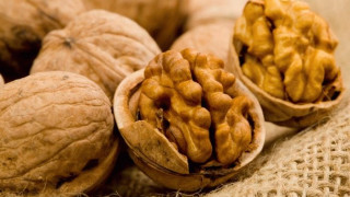 Sustainable and aromatic: organic walnuts from Kyrgyzstan