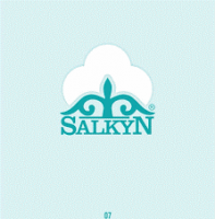 LLC "Salkyn"