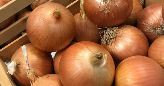 «Агропродукт Азия»