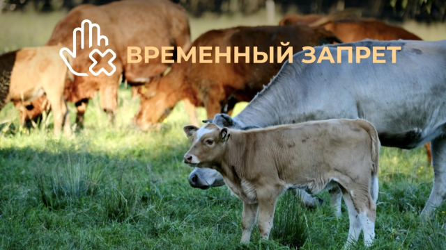 ВРЕМЕННЫЙ ЗАПРЕТ на вывоз сельскохозяйственных животных (крупного рогатого скота, лошадей, овец и коз)