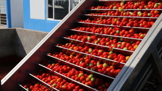  Сотрудники АПЗИ КР посетили компанию "TOMATKG" 