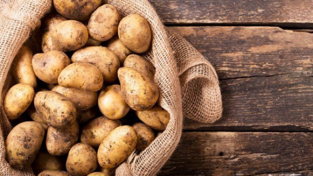  В Узбекистан экспортировано 80 тонн пробной партии картофеля 
